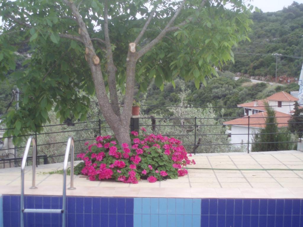 Pelagos Apartament *